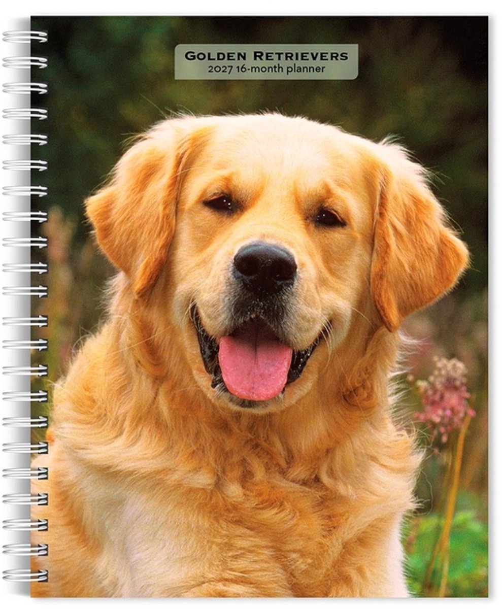 Golden Retriever Agenda 2027