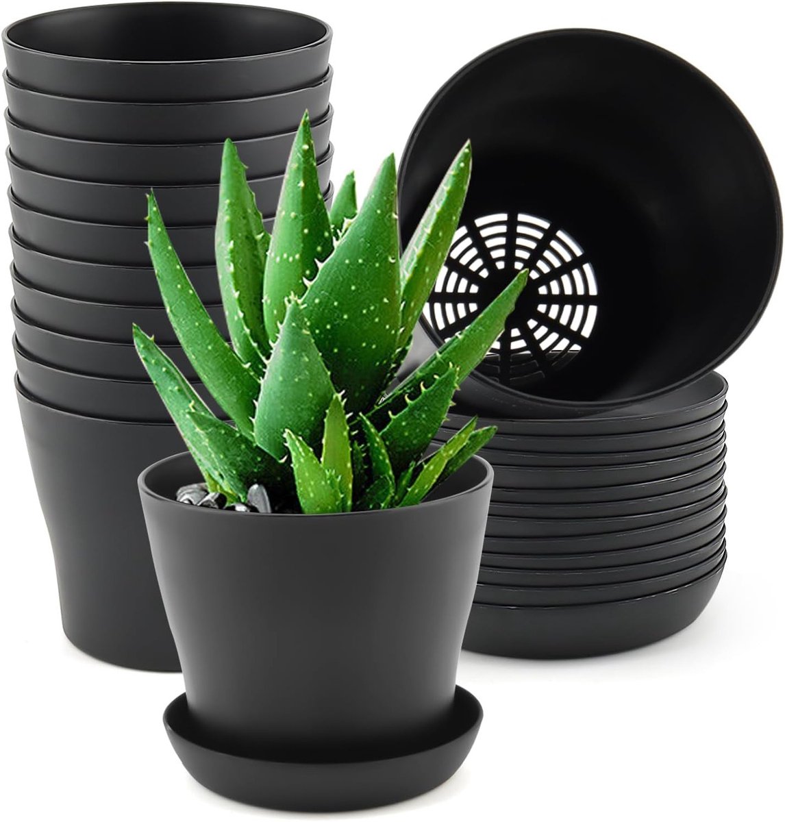 Set van 12 kleine ronde plantenpotten van 10 cm met schotel - Zwart mini plastic bloempotten voor planten, vetplanten en zaadkweek