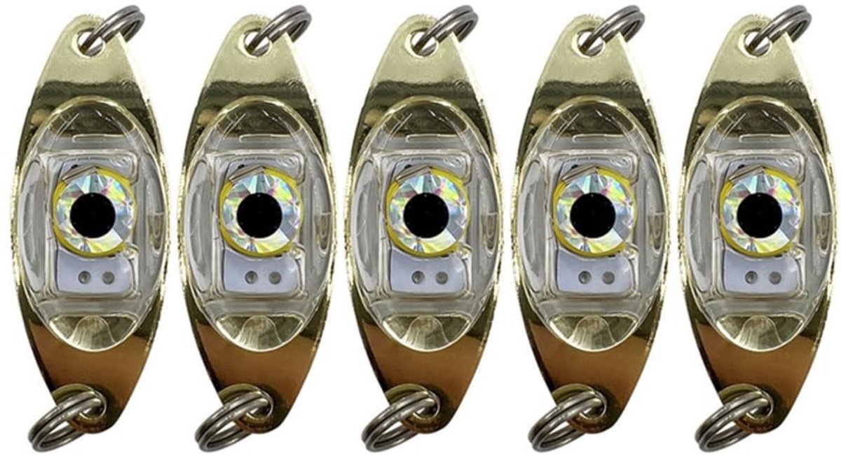 aladdien - Vissen Lokken Lichten - Onderwater Lampen - Duurzaam en Drukbestendig - Geschikt voor Boot en Zee - Fisheye Ontwerp - Ideaal voor IJs Visse