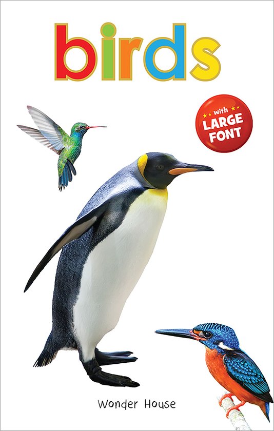 Big Board Books - Birds