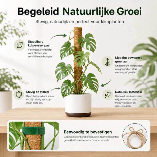 BOTC Mosstok voor Planten - 2x40cm - Plantenstok - Plantensteun - Perfect voor Monstera, Pothos en Meer