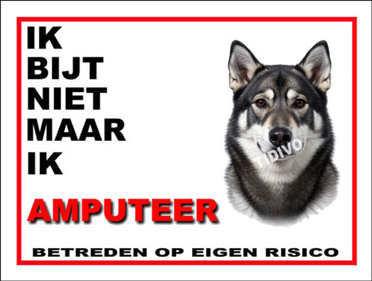 Jämthund 5
