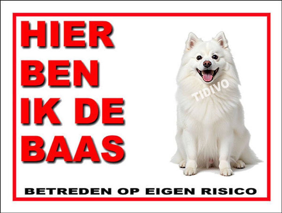 Japanse Spits 2
