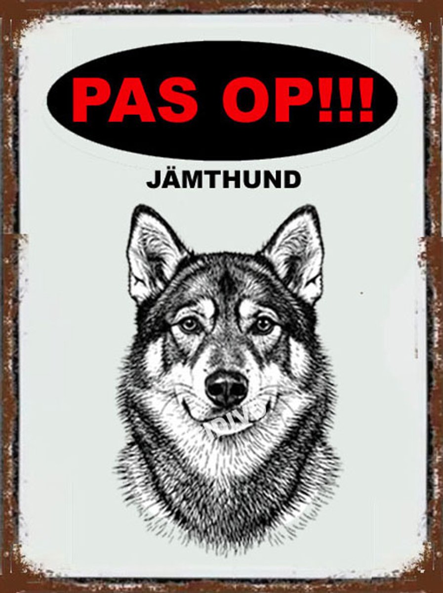 Jämthund 17