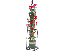 Plantenlatwerk - Klimplantsteun - Planten Ondersteunen - Versterkt Stalen Frame - 21x129 cm - Zwart