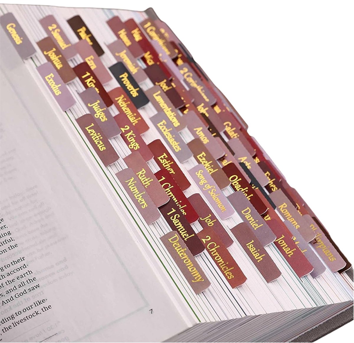 Dailygoods- Notitieset Zelfklevend - Index Tabs Transparant - Paginamarkeringen - Bijbelaccessoires - Perfect voor Studie en Kantoor - Multifunctioneel Gebruik - Indextabs