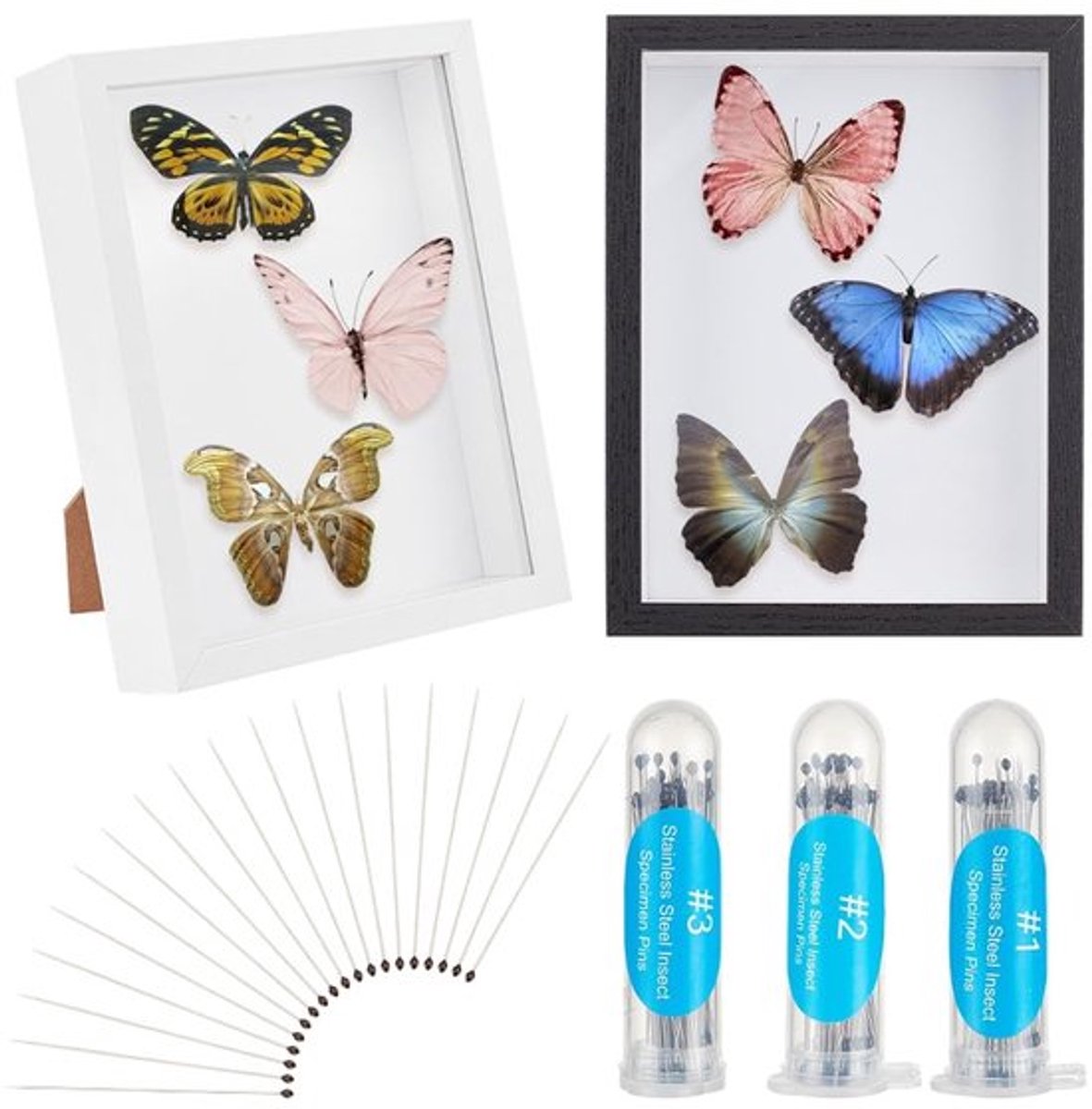 Dailygoody - Insectenvitrine - Insectenverzameling - voor vlinders