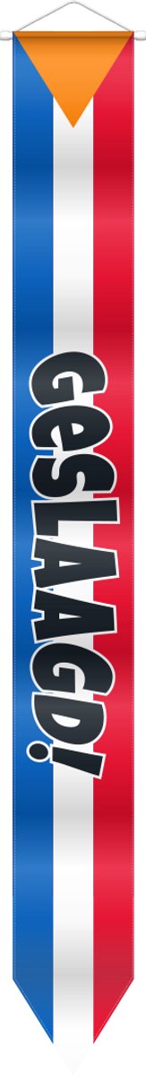 Geslaagd wimpel voor vlaggenmast - Rood/Wit/Blauw stijl - 150 cm lang - Diploma versiering