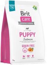 Brit care puppy hypo-allergeen zalm+aardappel graanvrij 3kg
