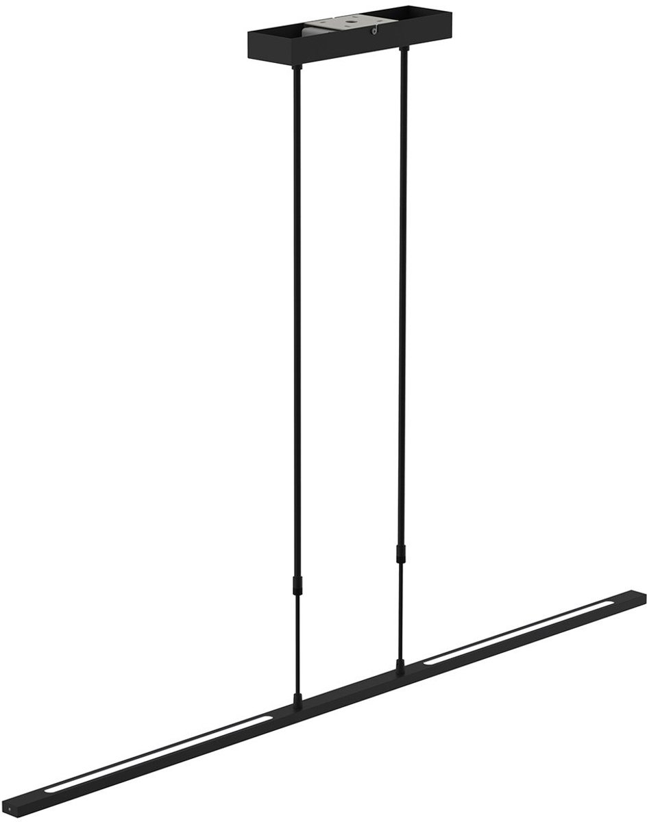 Steinhauer Hanglamp Humilus LED 1482zw zwart
