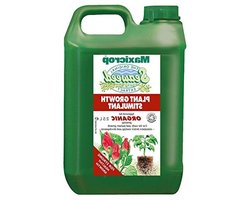 Zeewier Extract - Plantenvoeding Bodemverbeteraar - Planten Gezond Houden - Bevordert Bodemmicroben - 2.5 Liter - Bruin