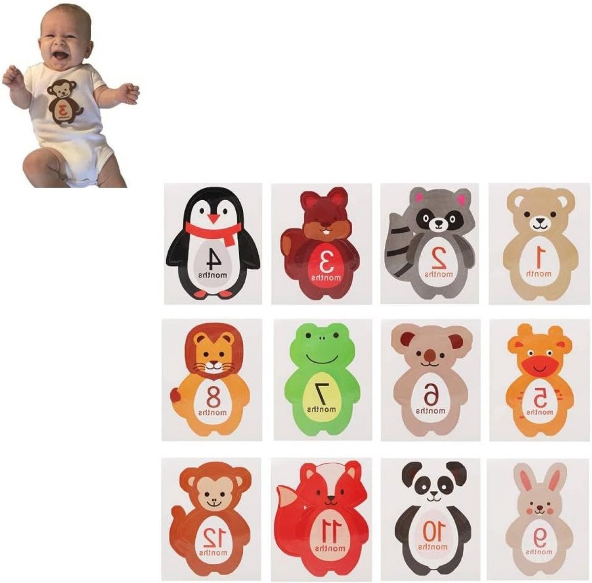 Schattige Maandstickers voor Baby's van 1 tot 12 Maanden - Fotostickers voor Maandelijkse Herinneringen en Babyaccessoires