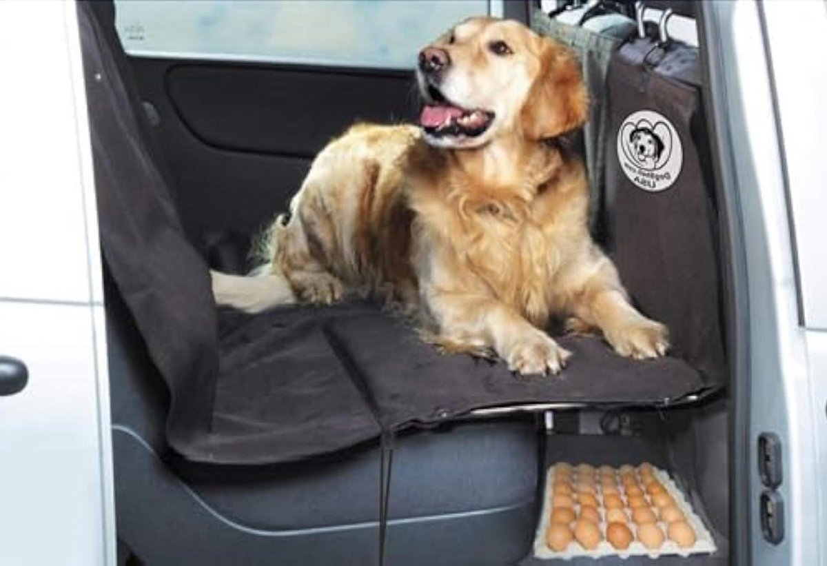 Honden Achterbank Uitbreiding - Huisdier Autostoel - Veilig Reizen Huisdier - Verstevigd Platform Ontwerp - Verstelbare Grootte - Zwart