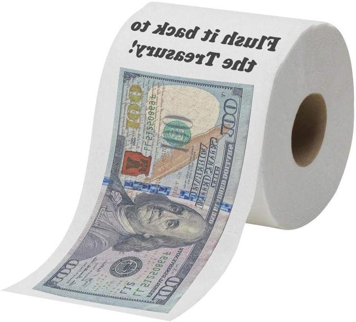Toiletpapier Dollar Bill - Grappig Papier - Cadeau Geven - Dubbel Laags - 10 x 10 x 10 cm - Wit