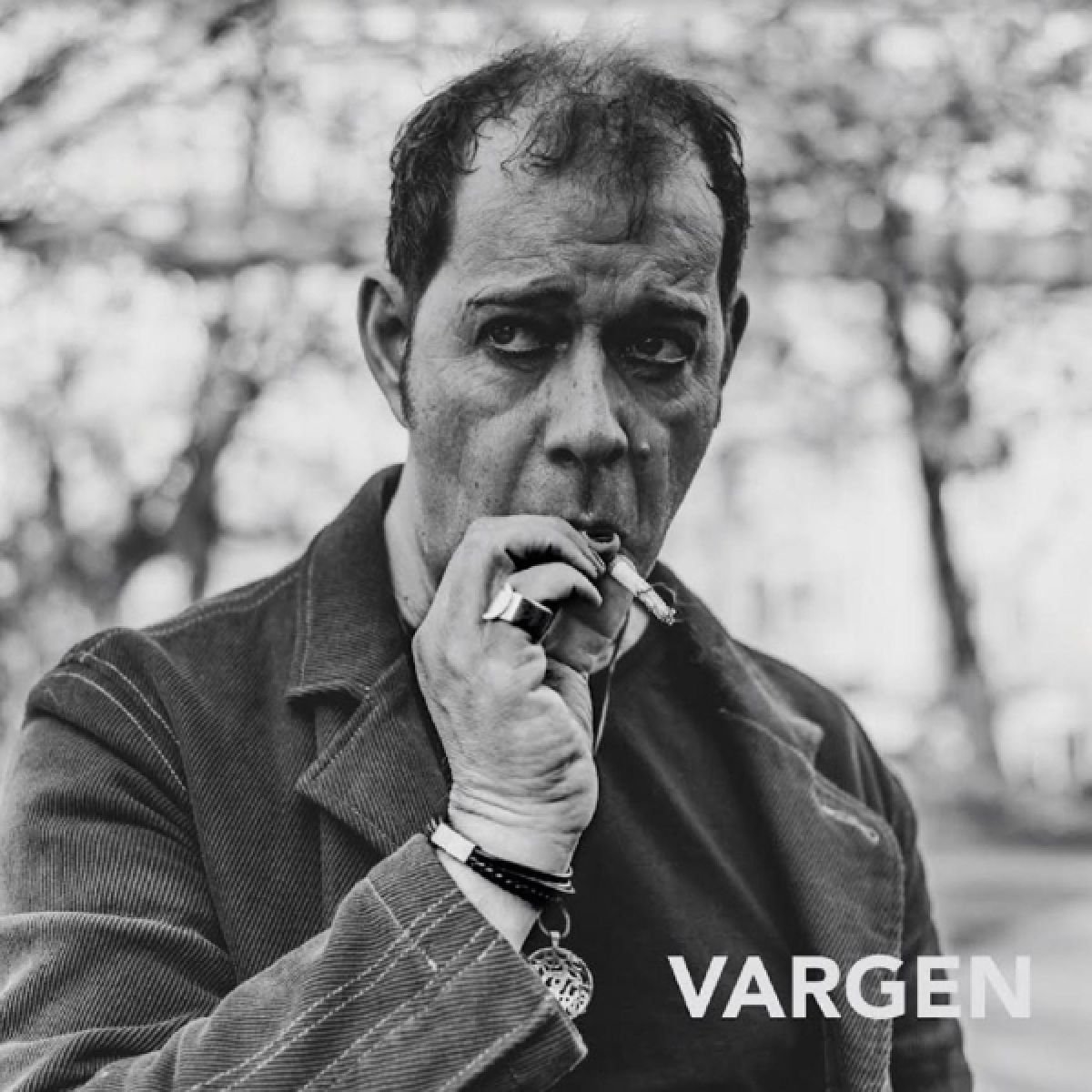Vargen