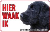 Bord - Hond-Labradoodle-Zwart