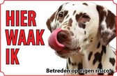 Bord - Hond-Dalmatische-hond-Dalmatiër-bruin