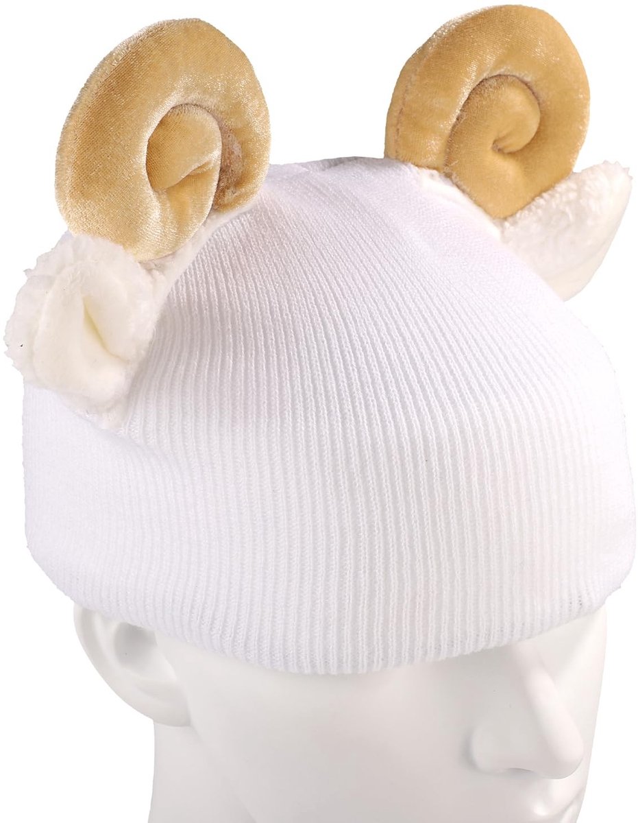 Dailygoods - Gebreide Skihelmhoes voor Kinderen en Volwassenen