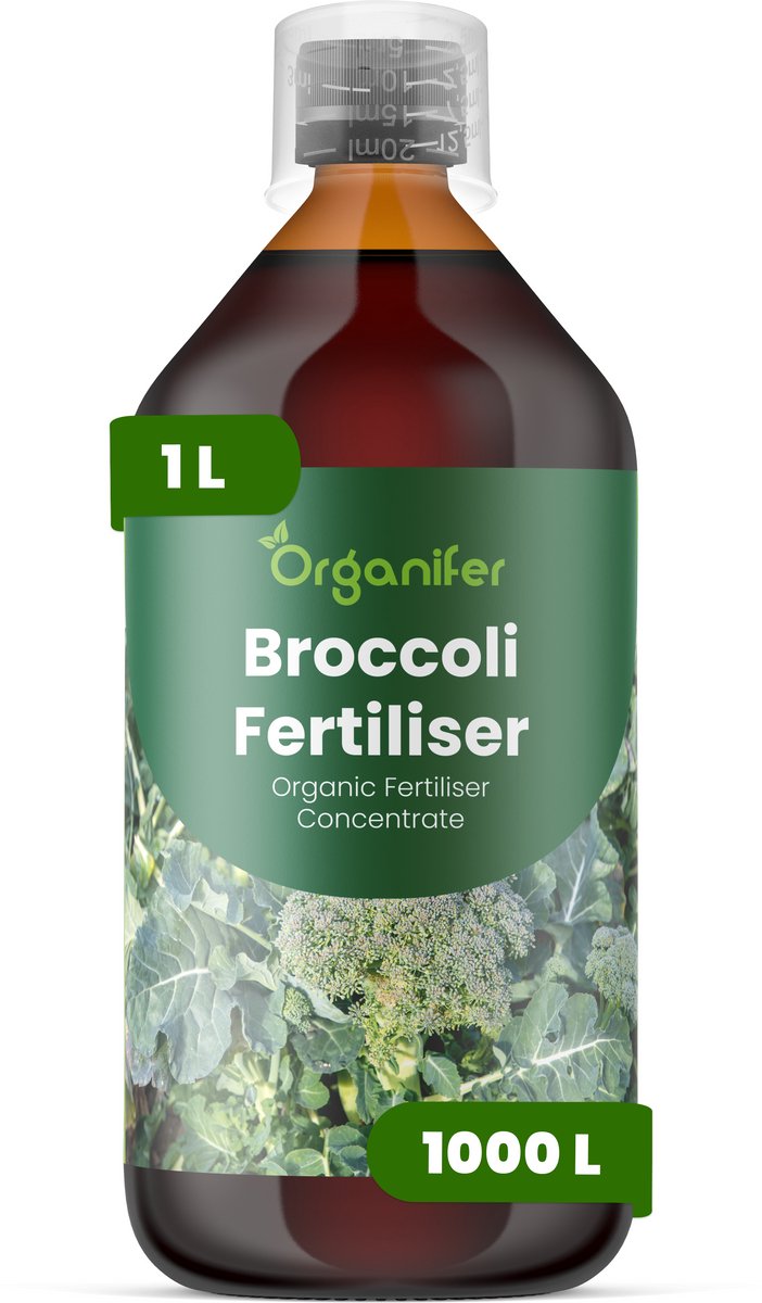 Vloeibare Meststof Voor Broccoli 1 L Voor 1000 L - Npk 2-1-8 - Krachtige Groei - Sterk Wortelstelsel - Stressbestendigheid - Nutriëntenopname - Plantvitaliteit - Stevige Stengels - Diepgroene Bladkleur - Voedingswaarde - Organifer