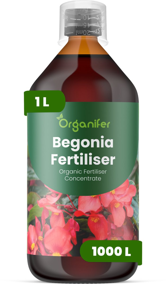 Vloeibare Meststof Voor Begonia 1 L Voor 1000 L - Npk 2-1-8 - Krachtige Groei - Weelderig Blad - Levendige Bloemen - Sterke Wortelontwikkeling - Bladkleur - Plantvitaliteit - Zachte Nutriëntenopname - Organifer