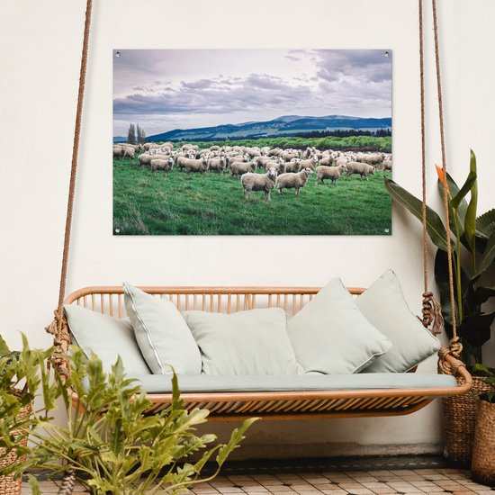 Tuinposter 120x80 cm - Tuindecoratie Schapen - Natuur - Gras - Poster voor in de tuin - Buiten decoratie - Schutting tuinschilderij - Tuindoek muurdecoratie - Wanddecoratie balkondoek