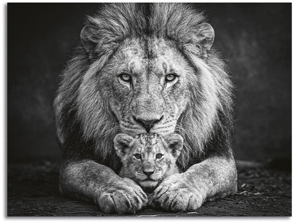 Schilderij Woonkamer - Modern Canvas Kunstwerk - 70 x 50 cm - Leeuw met Cub Verbonden in Kracht No5 Zwart / Wit