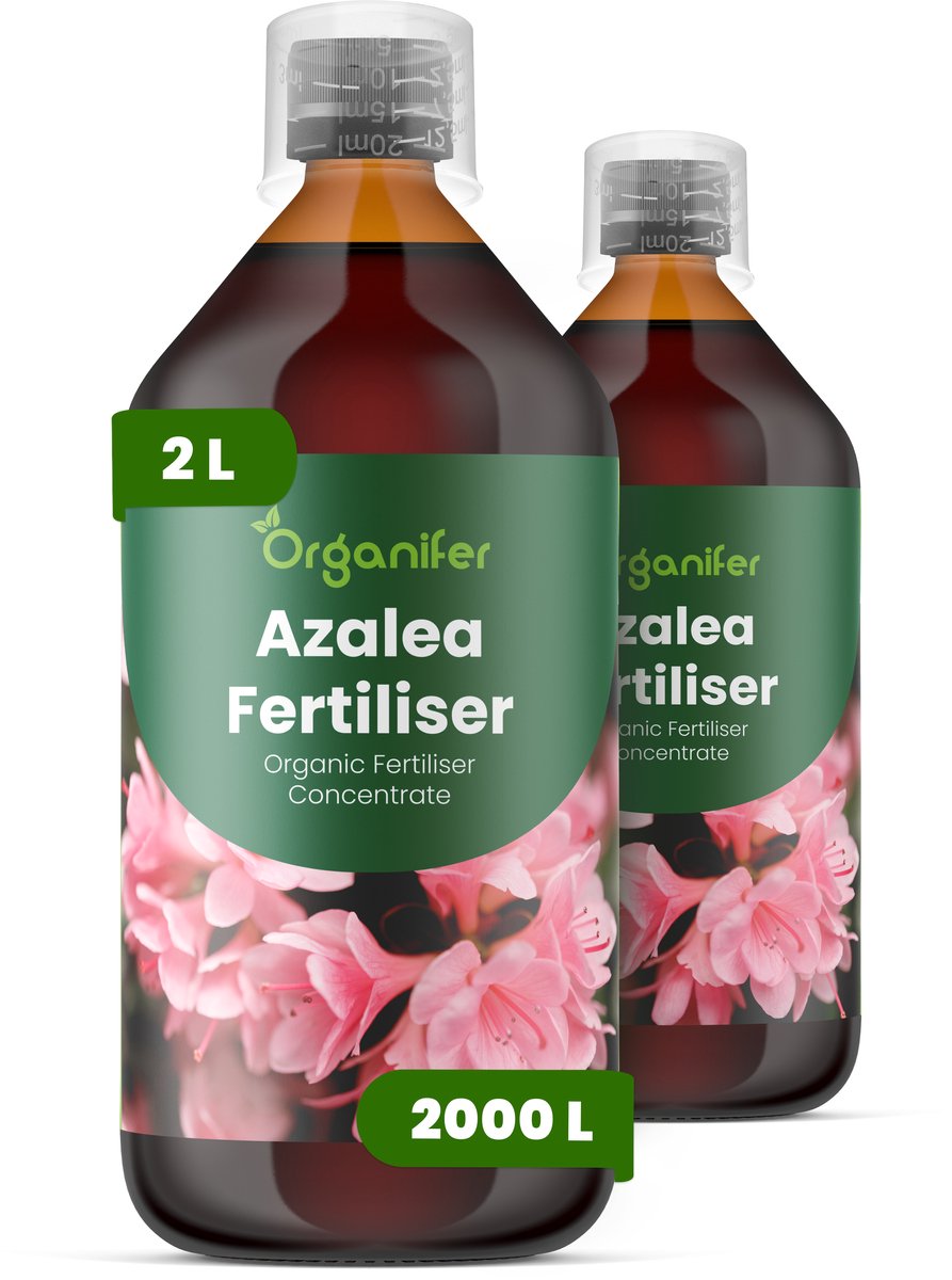 Vloeibare Meststof Voor Azalea 2X1 L Voor 2000 L - Npk 3-4-3 - Rijke Bloei - Levendige Bloemen - Sterk Wortelstelsel - Zure Substraten - Knopvorming - Seizoensbloei - Stressbestendig - Rhododendron - Groenblijvend - Bladverliezend - Organifer