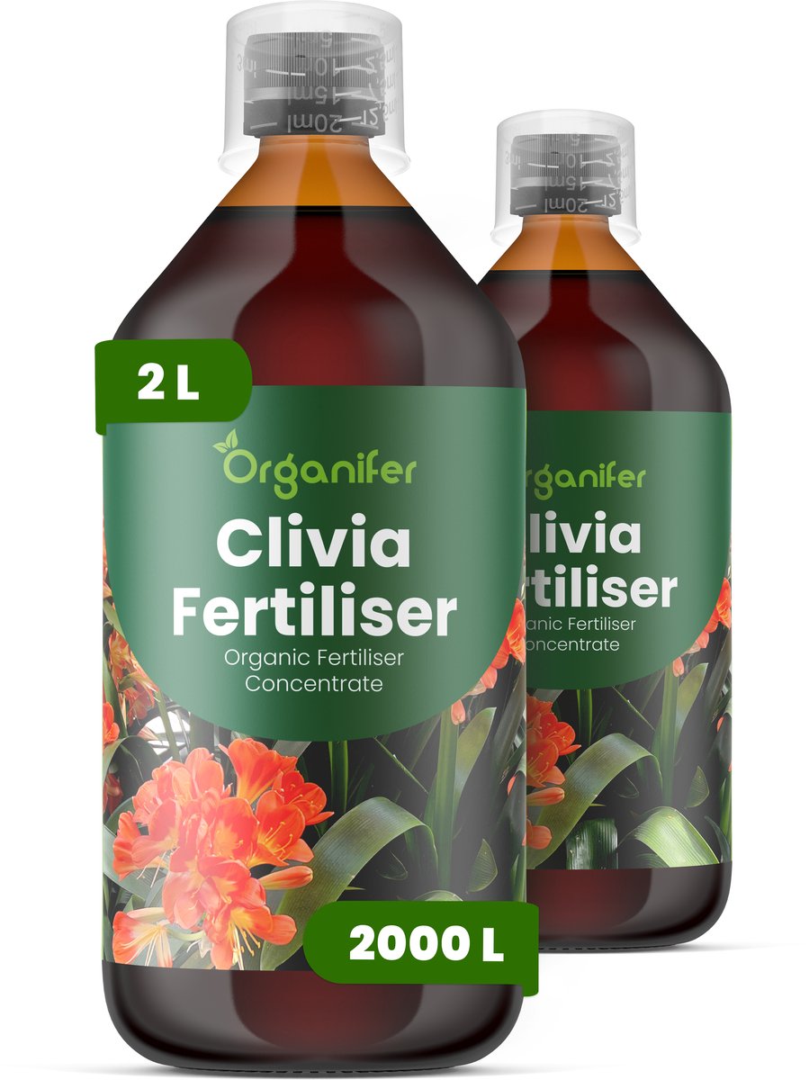 Vloeibare Meststof Voor Clivia 2X1 L Voor 2000 L - Npk 3-4-3 - Krachtige Groei - Sterke Bladontwikkeling - Rijke Bloei - Sterke Wortelstructuur - Bolstructuur - Verhoogde Weerbaarheid - Organifer