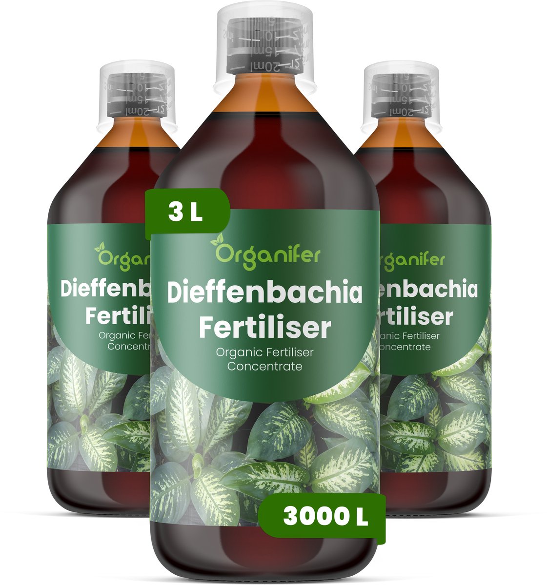Vloeibare Meststof Voor Dieffenbachia 2X1 L Voor 2000 L - Npk 3-4-3 - Krachtige Groei - Sterke Bladontwikkeling - Sterke Stengels - Compacte Groei - Weerstand - Bladvernieuwing - Geschikt Voor Alle Dieffenbachia-Soorten En Hybriden - Organifer
