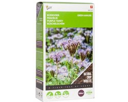 Buzzy® Groenbemester Phacelia tanacetifolia - 100 Gram