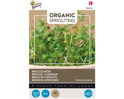 Buzzy® Organic Sprouting Broccolikers (BIO) - Gezonde en voedzame microgreens met een pittige smaak