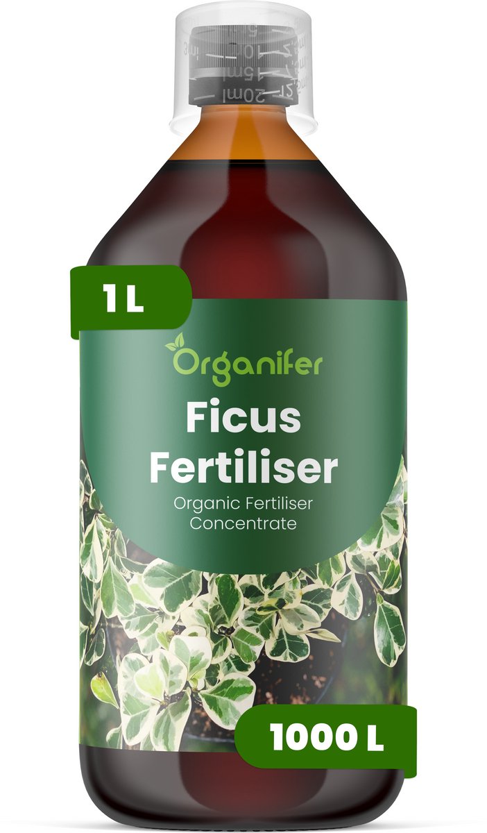 Vloeibare Meststof Voor Ficus - 1 L Voor 1000 L - Npk 2-1-8 - Krachtige Groei - Donkergroen Blad - Stevige Bladstructuur - Compacte Groei - Bladval Voorkomen - Verbetert De Efficiëntie Van Nutriëntenopname - Organifer