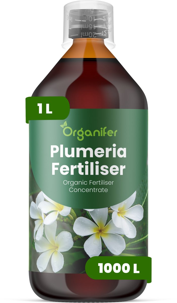 Vloeibare Meststof Voor Plumeria 1 L Voor 1000 L - Npk 3-4-3 - Sterke Groei - Rijke Bloei - Bloemkleur - Bloemgrootte - Geurintensiteit - Droogteresistentie - Bladgezondheid - Langdurige Bloeicycli - Organifer