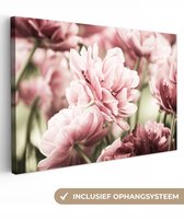 Canvas schilderij 120x80 cm - Wanddecoratie De zon schijnt op deze lichtroze tulpen - Muurdecoratie woonkamer - Slaapkamer decoratie - Kamer accessoires - Schilderijen op canvas