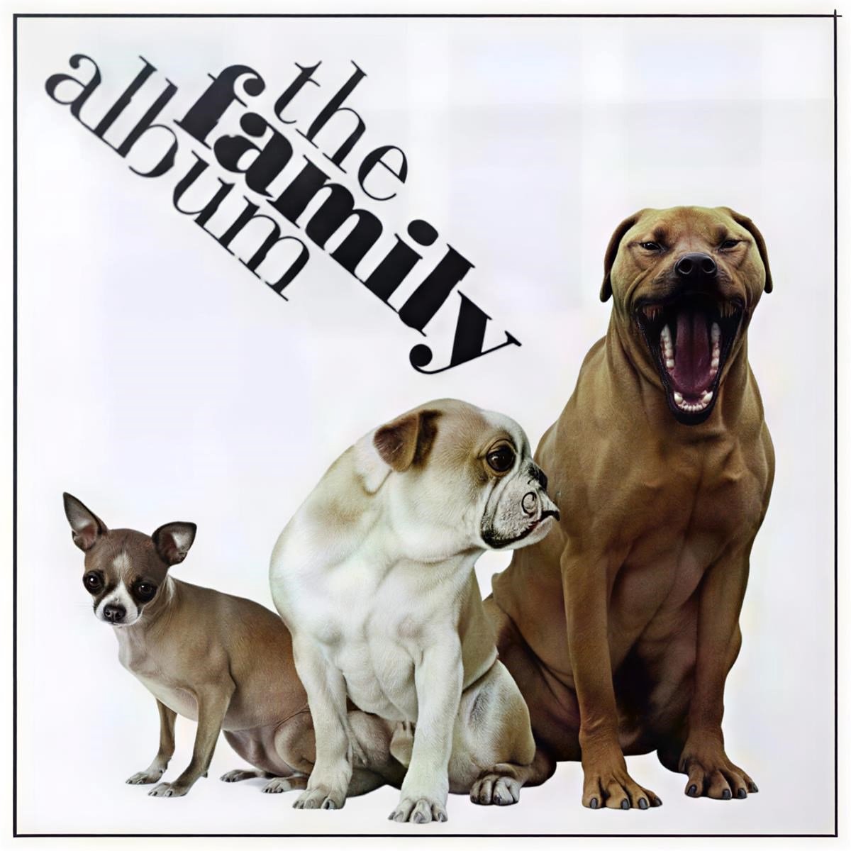 Various Artists - The Family Album (CD)