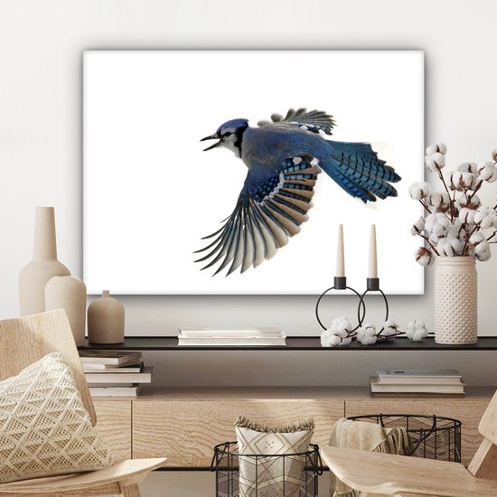 Blue Jay devant toile fond blanc 2cm 80x60 cm - impression photo sur toile peinture Décoration murale salon / chambre à coucher) / Animaux sauvages Peintures Toile