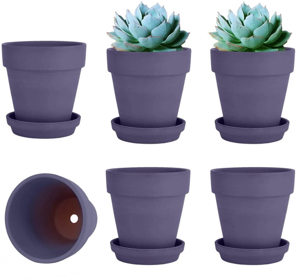 ONF3 - Kleipot - Plantenpotten - Set van 6 - Paarse terracotta potten - Met schotel - Voor binnen en buitenplanten - 10,16 cm
