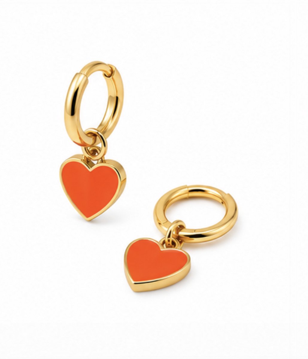 Oorbellen oranje - Roestvrijstalen oorbellen - RVS - koningsdag sieraden – Cadeau tip – Hip - Trendy