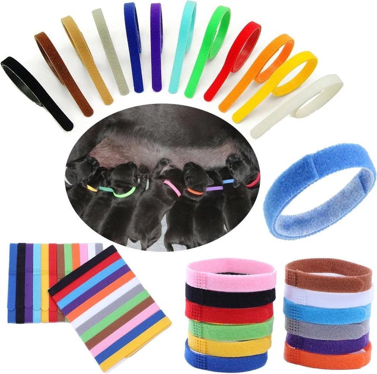Okado Puppy ID Bandjes 12 Stuks Multicolor – Verstelbare Identificatie Halsbanden voor Puppy’s en Kittens – Nylon Stoffen Bandjes – 7 tot 30 cm