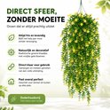 Hangende kunstplant met groene bladeren en gele bloemen, met tekst 'DIRECT SFEER, ZONDER MOEITE'.