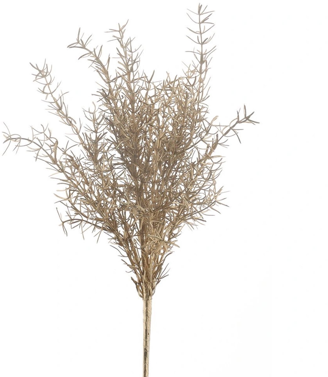 Buitengewoon Boet Buitengewoon de boet - Sprengeri bush goud 47 cm kunsttak onbekend