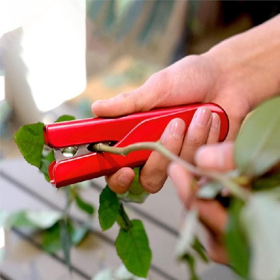 Rozen Doorn Stripper - Rozenprikker Verwijderaar - Bloemen Schikken - Dubbele Steel Ontwerp - 150 Gram - Rood — afbeelding 3
