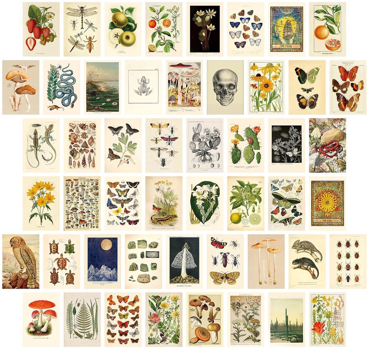 Dailygoody - Vintage Botanische Muurcollage Kit - 50PCS Dubbelzijdig Gedrukte Posters - Wanddecoratie voor Slaapkamer - Kreukvrij en Levendige Kleuren...