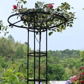 Zwarte plantenrooster met ringen, met roze rozen en groen gebladerte, in een tuin.