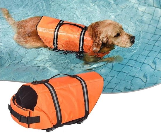Gouden retriever in oranje reddingsvest met reflecterende banden zwemt in blauw water. Een ander vest ligt onderaan.