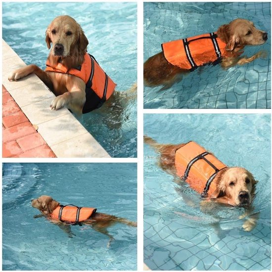 Collage van een gouden retriever in oranje reddingsvest, drijvend en zwemmend in blauw zwembadwater.