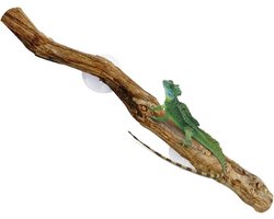 Reptielen Klimtak - Decoratie Druivenhout - Terrarium Inrichten - Met Zuignap Bevestiging - 30 cm - Natuurlijk