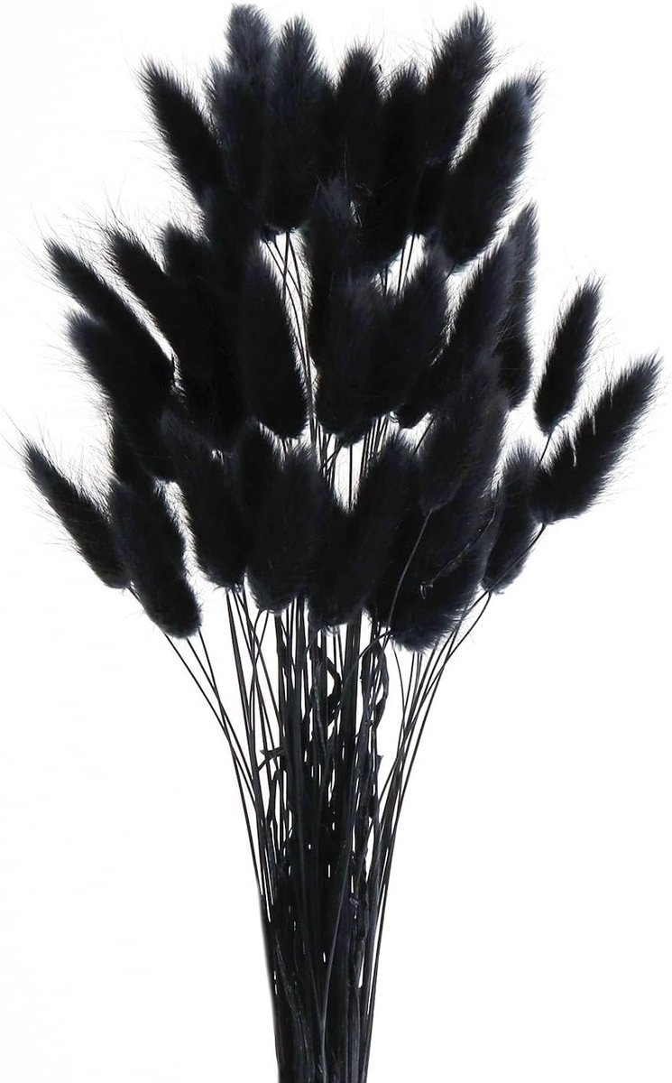 Dried Pampas Grass Pluimen 45 cm - 60 Stuks Natuurlijke Bloemen voor Decoratie en Bloemstukken