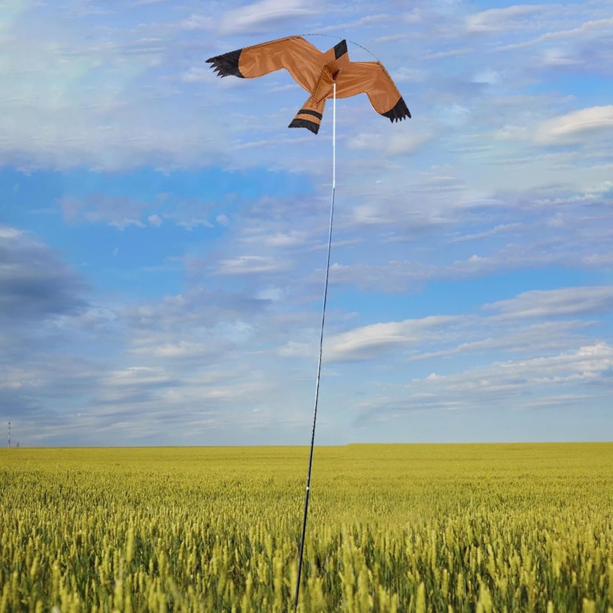 Grote Vlieger - Vogel Speelgoed - Buiten Vliegen - Natuurlijk Ontwerp - 125 x 60 cm - Zwart