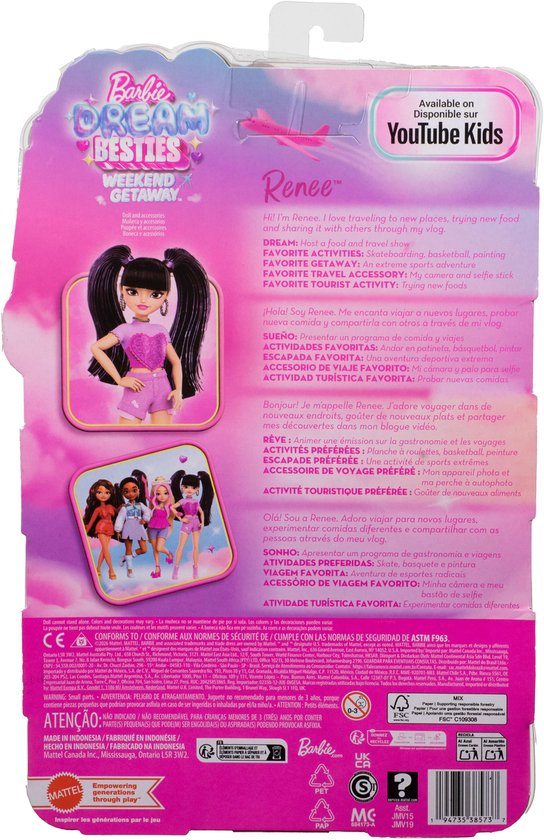 Barbie Dream Besties WEEKEND GETAWAY RENEE Doll and Accessories — afbeelding 2